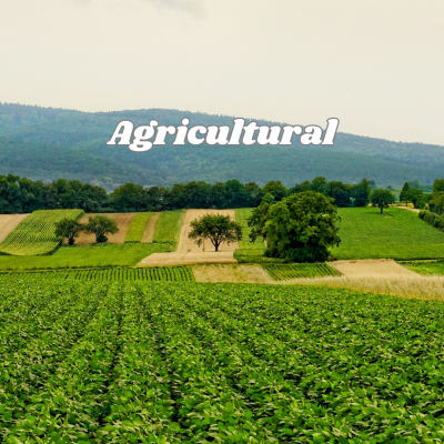 Rudransh Exim Agricultural Division