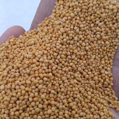 Rudransh Exim Whole Spices